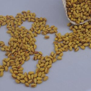 پسته اکبری نمکی