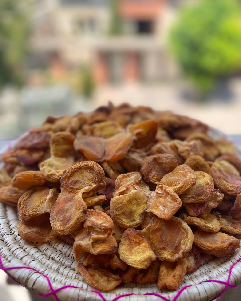 برگه زردآلو آفتابی