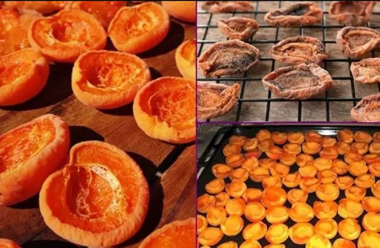 دستور تهیه دسر با برگه زردآلو آفتابی