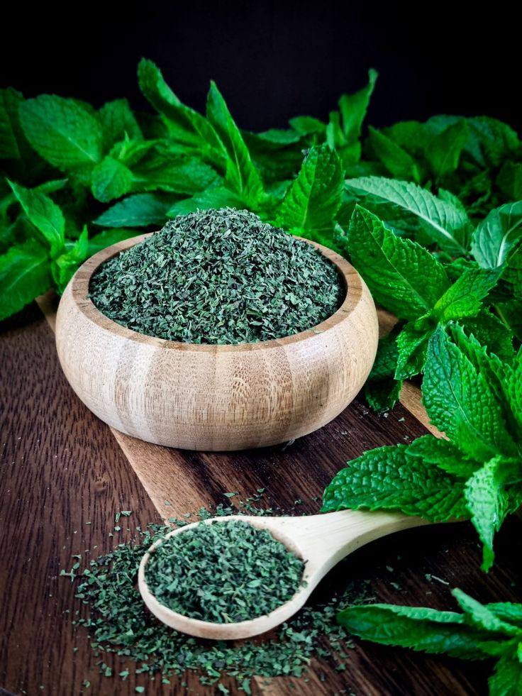 نعناع ۱۰۰ گرمی