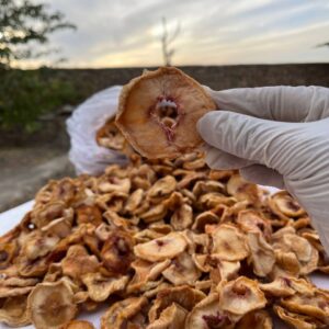 هلو حلقه ای