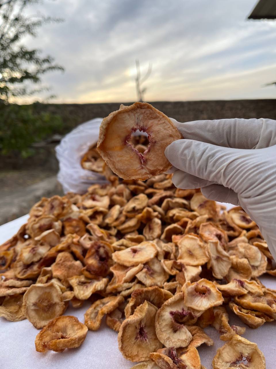 هلو حلقه ای