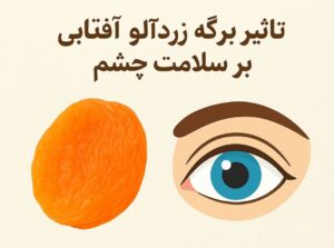 تأثیر برگه زردآلو آفتابی بر سلامت چشم